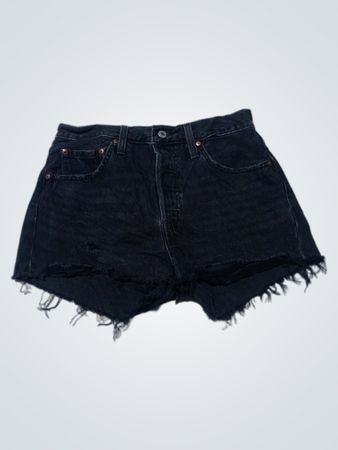 Levi's Premium Denim Shorts