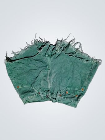 Levi's Premium Denim Shorts