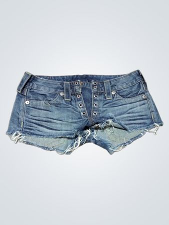 True Religion Denim Shorts