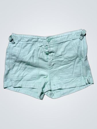 American Eagle Mint Green Button Fly Cargo Shorts