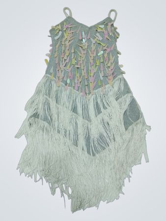 Silbernes Pailletten- und Fransen-Flapperkleid