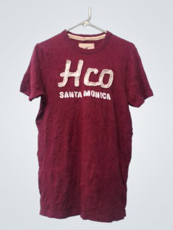 Hollister California "Hco Santa Monica" T-shirt