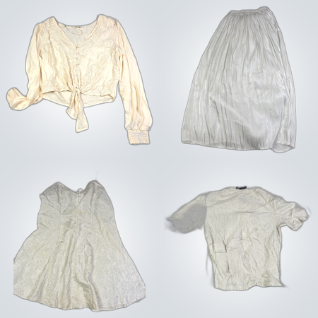 Designer Bundle: Champion, Mavi, Zara & More - 10 Piece Women's Fashion Lot