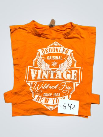 Brooklyn Original Vintage Wild and Free New York Since 1963 T-Shirt