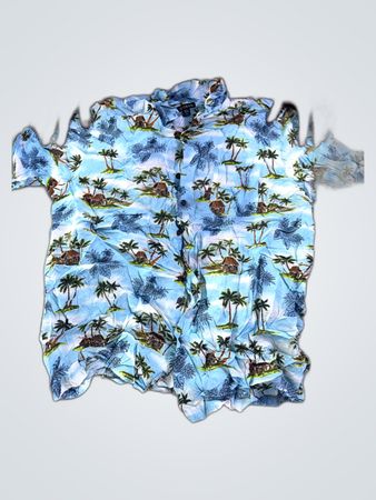 Unbranded Hawaiian Print Button-Up Shirt