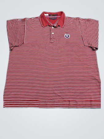Tommy Hilfiger Striped Polo Shirt