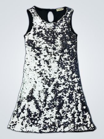 Sequin Dress
