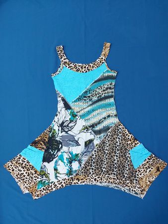 Mechant Women's Blue and Leopard Print Dress