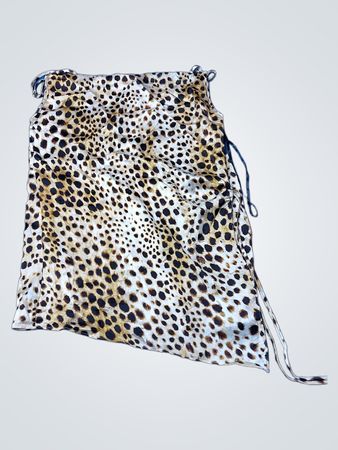 Zara Leopard Print Cami Top