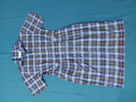 Burberry Blue Plaid Shirt
