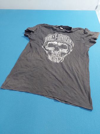 Harley-Davidson Skull Graphic T-Shirt