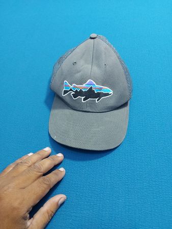 Patagonia Fish Cap