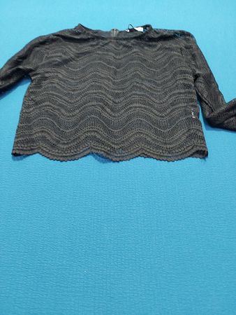 Zara Schwarzes Kurzgeschnittenes Spitzenoberteil mit langen Ärmeln