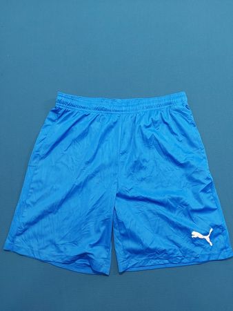 Puma Blue Sportliche Shorts