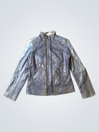 Blue Leather Jacket