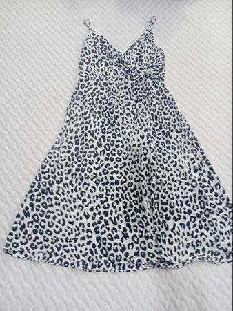 Express Animal Print Mini Dress