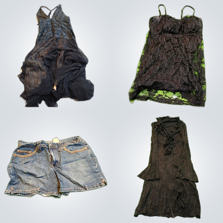 Laxmi BCBG MAX AZRIA The Limited Fashion Bundle 8 Pc Clothing Lot