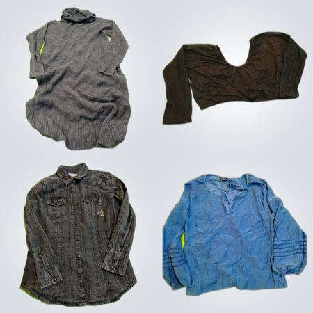 American Eagle, bebe & Harley Davidson Bundle: 10 Teile Damenmode Paket