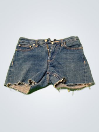 Shorts en denim Carhartt