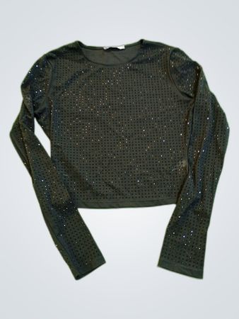 SlatHe Label Sheer Sequined Long Sleeve Blouse