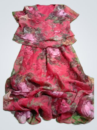 Unbranded Floral Printed Chiffon Blouse and Skirt Set