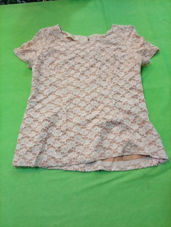 Beige Lace Sheer Blouse