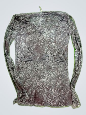 Sheer Leopard Print Long Sleeve Blouse