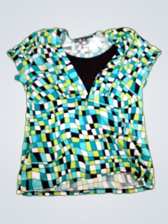 Briggs New York Petite Printed V-Neck Blouse