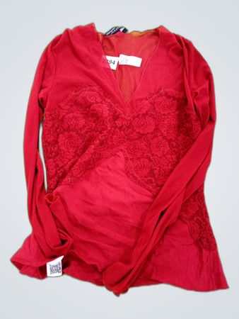 Sharagano Red Sheer Lace Blouse