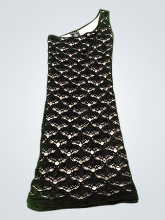 Bebe Black Lace Mini Dress