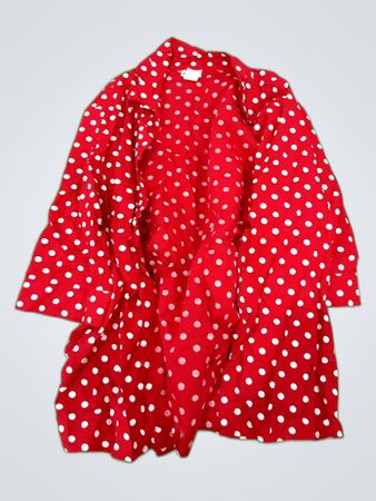 Red Polka Dot Printed Blouse