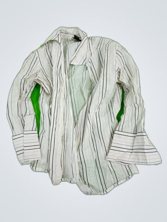 The Limited Striped Button-Up Shirt