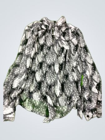 Sheer Printed Long Sleeve Blouse