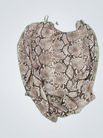 Snake Print Blouse