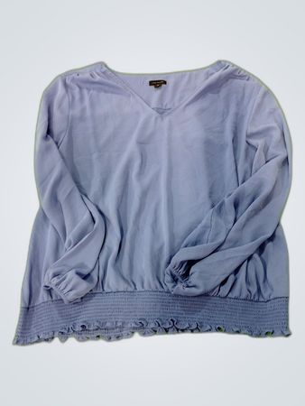 Ann Taylor Ruffle Blouse