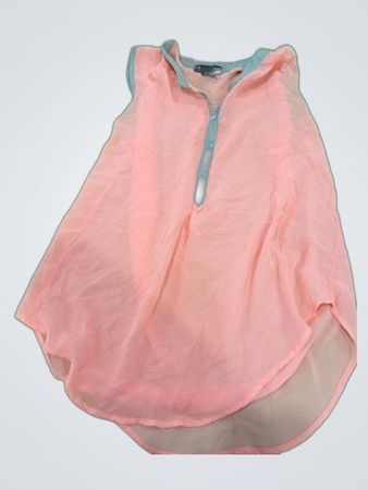 About a Girl Sheer Pink Blouse