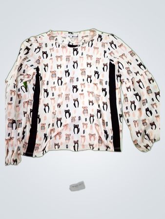 Zara Printed Long Sleeve Blouse