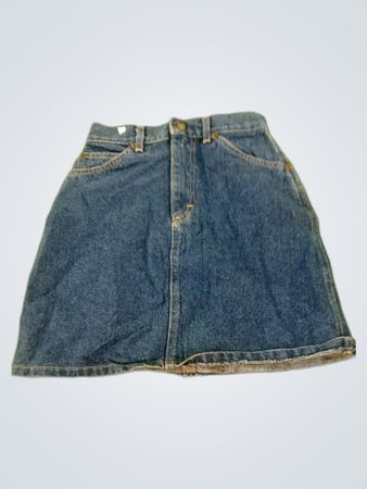 Levi's Denim Mini Skirt