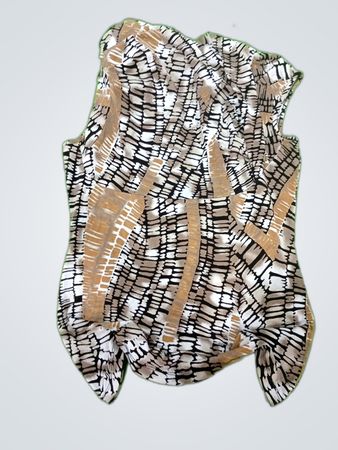 Unbranded Printed Sleeveless Blouse