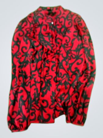 Printed Long Sleeve Blouse