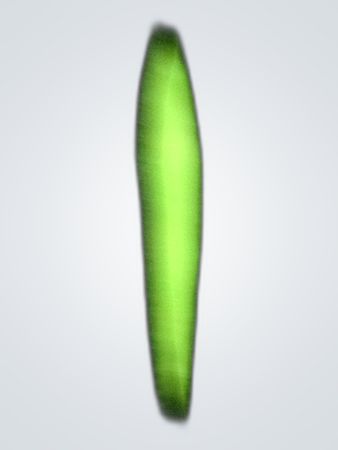 Unbranded Black Flare Jeans