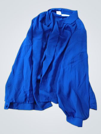 Silhouettes Blue Long Sleeve Blouse