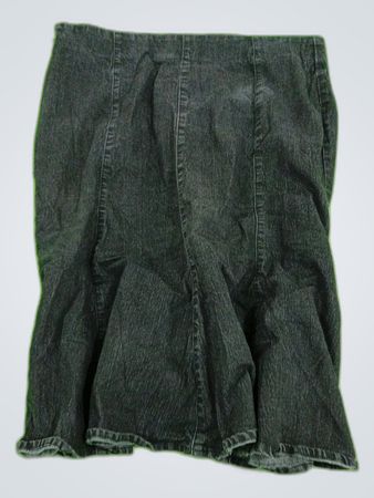 Nicole Denim Mini Skirt