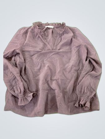 Ruffle Sleeve Blouse