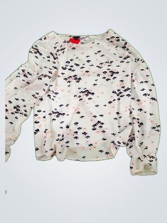 Ann Taylor Printed Blouse