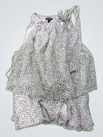 Express Leopard Print Chiffon Blouse