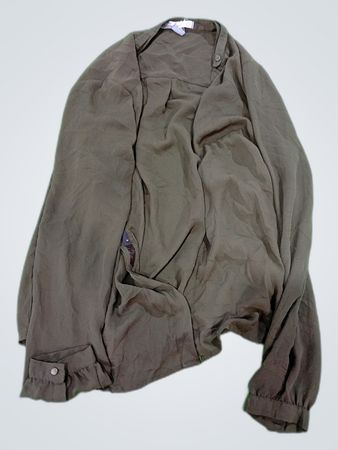 Zara Sheer Long Sleeve Blouse