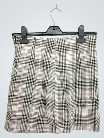 Plaid Skirt