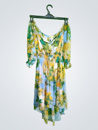 Fig and Flower Floral Dress