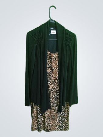 Black and Leopard Print Dress with Shawl